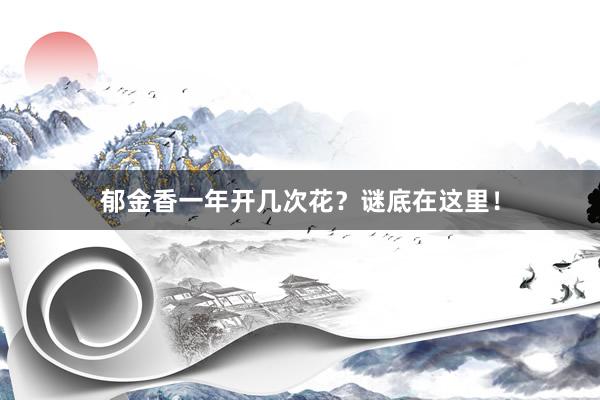 郁金香一年开几次花？谜底在这里！