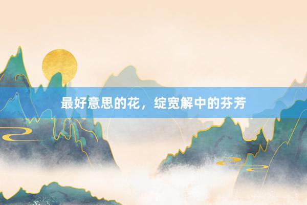 最好意思的花，绽宽解中的芬芳