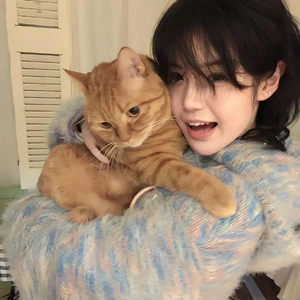 圣斗士星矢 (电影)